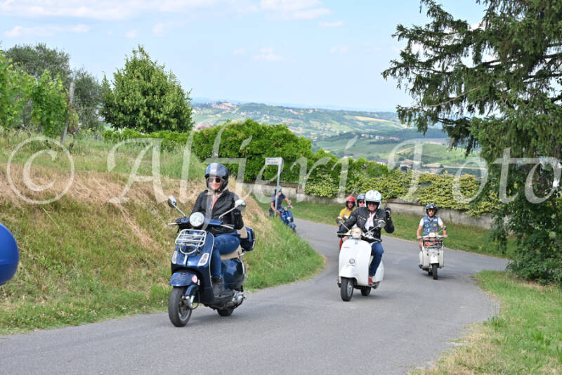 dsc_7326-standard-y9logl.jpg