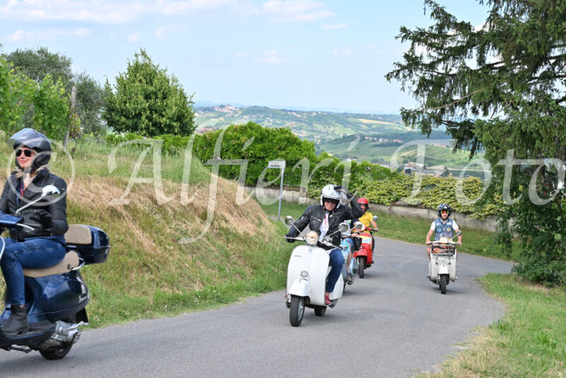dsc_7329-standard-uqtdyj.jpg