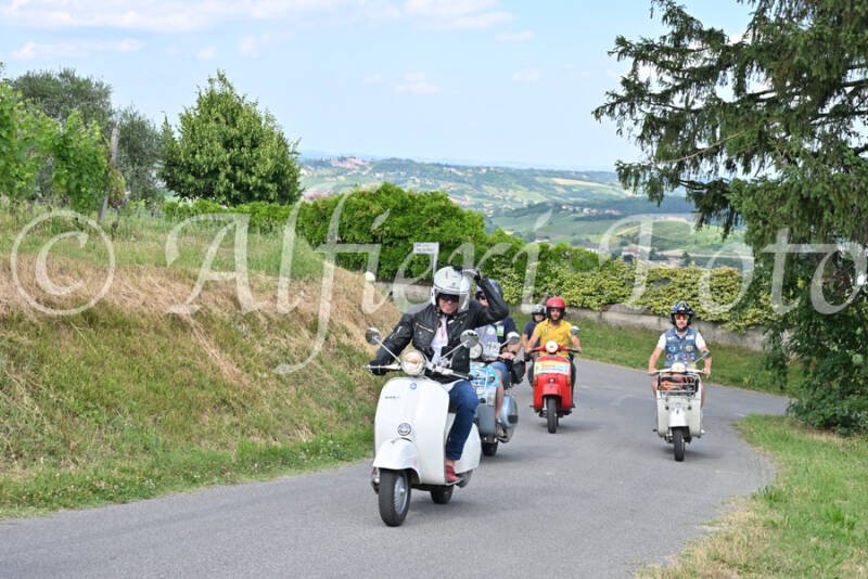 dsc_7331-standard-7nxbyx.jpg