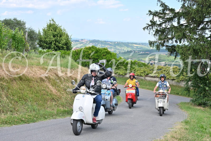 dsc_7332-standard-xqdfj1.jpg