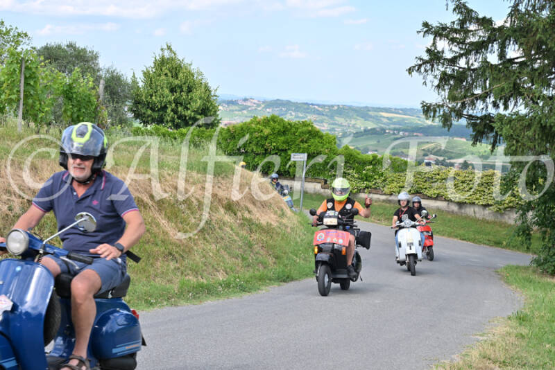 dsc_7346-standard-8ku4kk.jpg