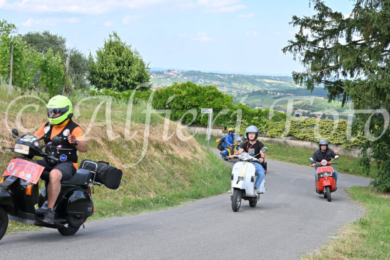 dsc_7351-standard-0lsjkk.jpg