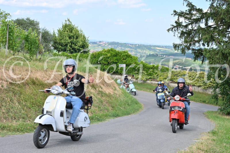 dsc_7354-standard-qv0d6x.jpg