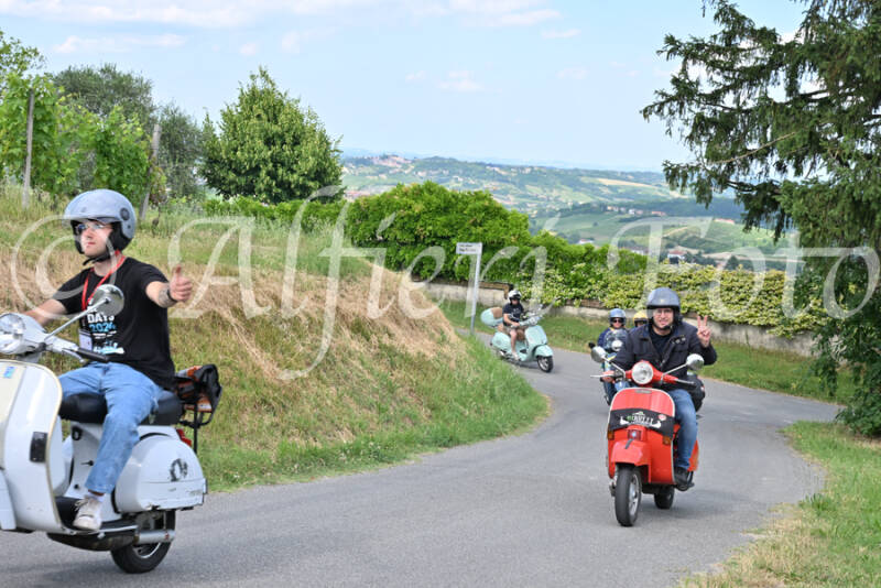 dsc_7355-standard-tpwmdc.jpg