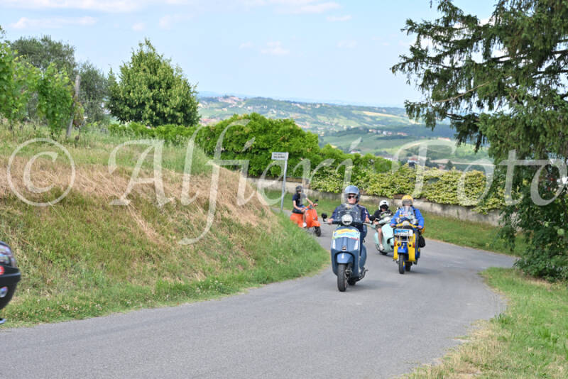 dsc_7360-standard-h8vq1h.jpg