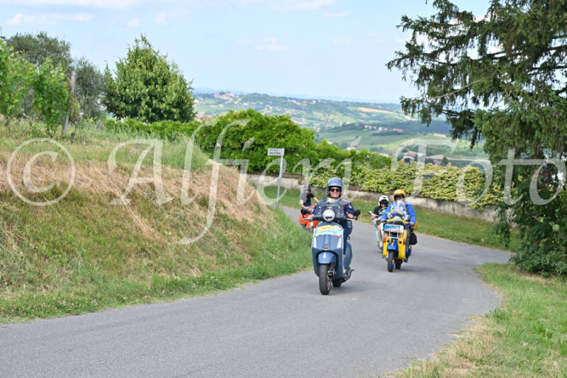 dsc_7361-standard-p4sv3e.jpg