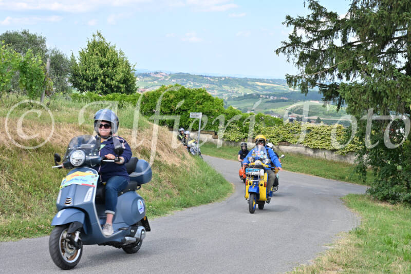 dsc_7365-standard-3r0p8f.jpg