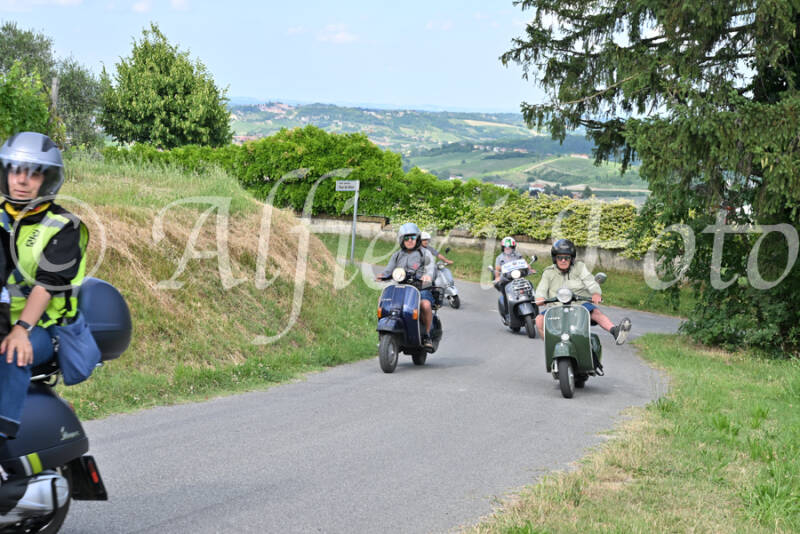 dsc_7384-standard-oexfhr.jpg