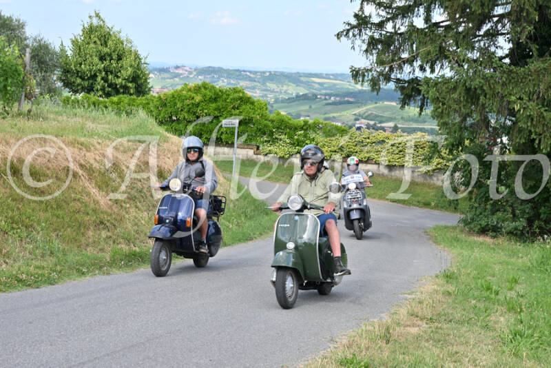 dsc_7387-standard-dzmick.jpg