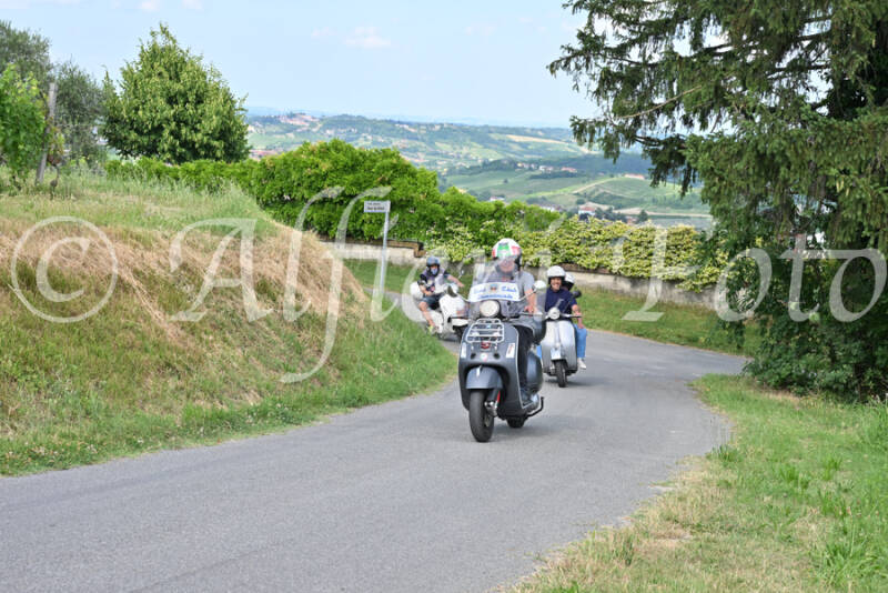 dsc_7390-standard-3r0wgr.jpg