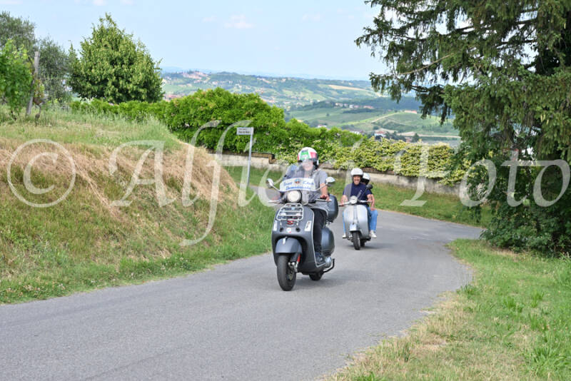 dsc_7391-standard-sjshkd.jpg