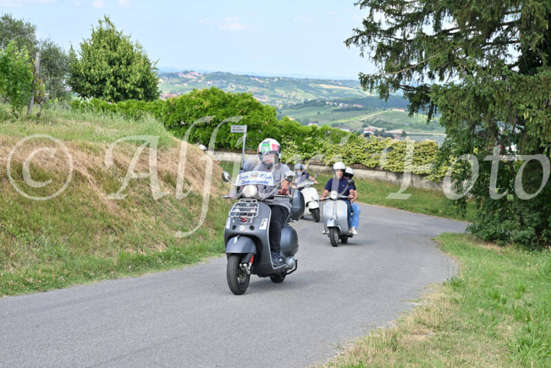 dsc_7392-standard-wui0m9.jpg