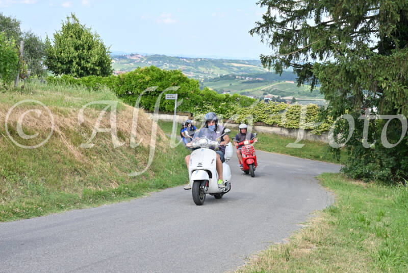 dsc_7398-standard-louysm.jpg