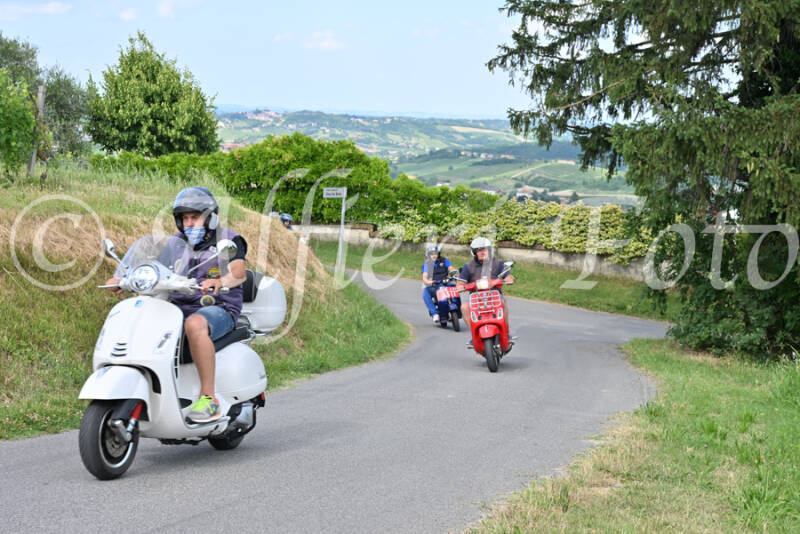 dsc_7400-standard-r9rzp4.jpg