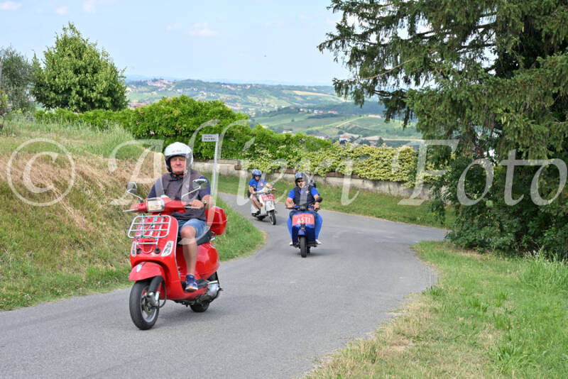 dsc_7404-standard-efu1k5.jpg