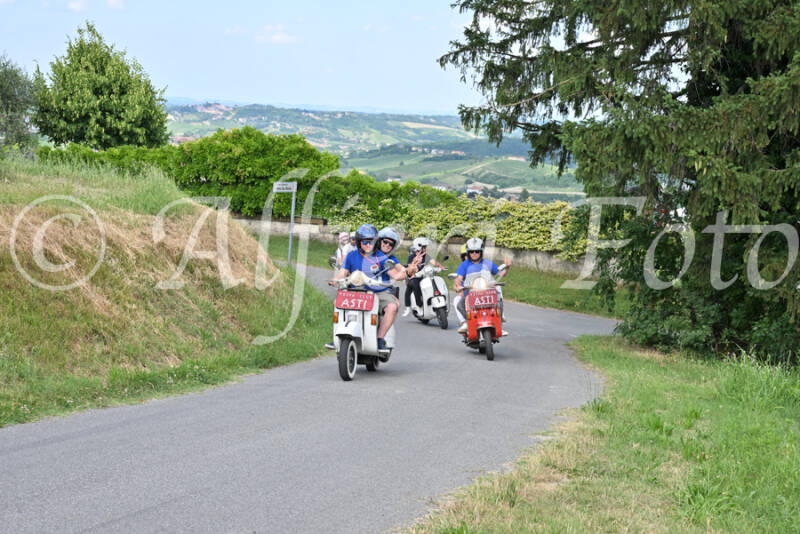 dsc_7413-standard-wypdws.jpg