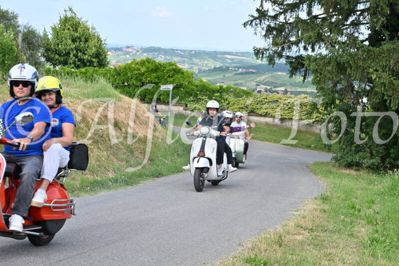 dsc_7420-standard-vpktom.jpg