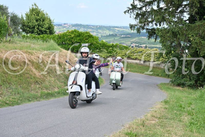 dsc_7421-standard-1jwc3d.jpg