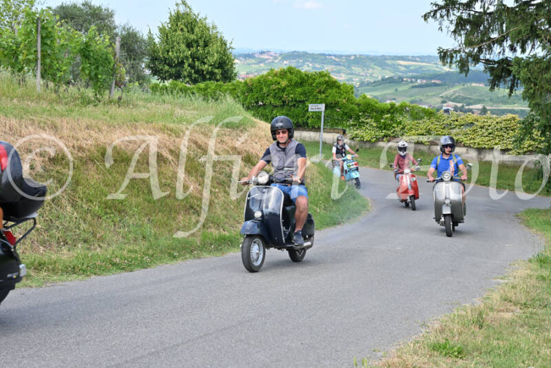 dsc_7433-standard-8s2tew.jpg