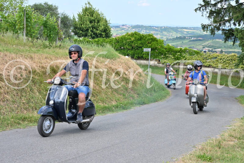 dsc_7435-standard-z9qxbo.jpg