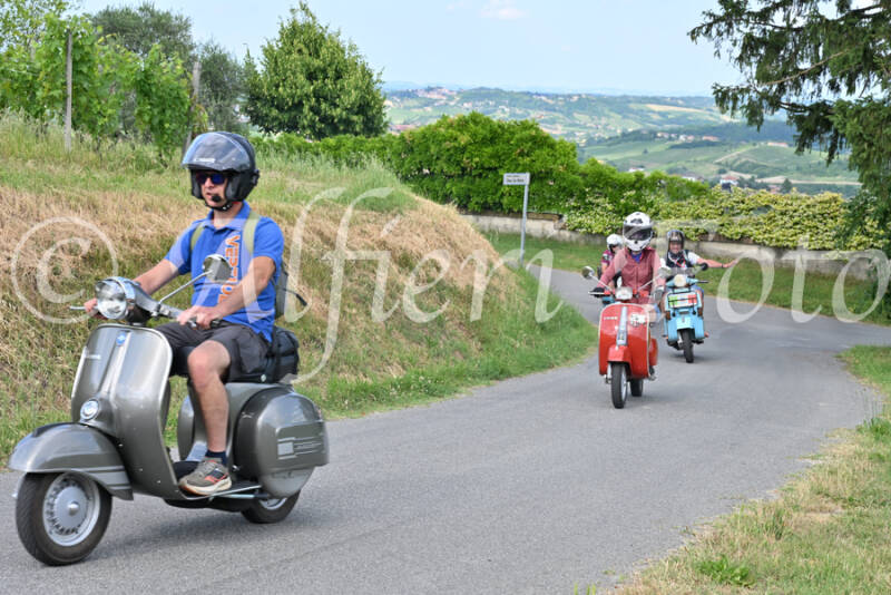 dsc_7440-standard-0tmnrh.jpg