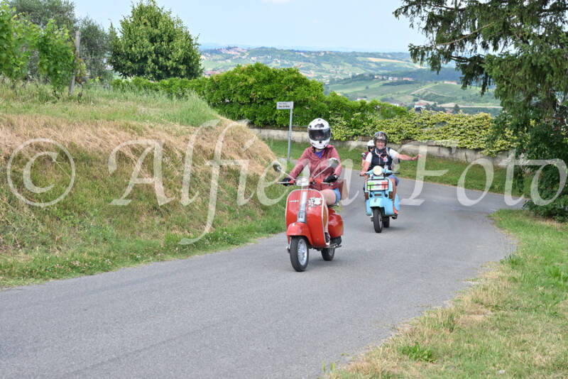dsc_7441-standard-e0vif0.jpg