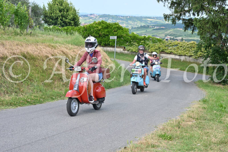 dsc_7443-standard-boxmek.jpg