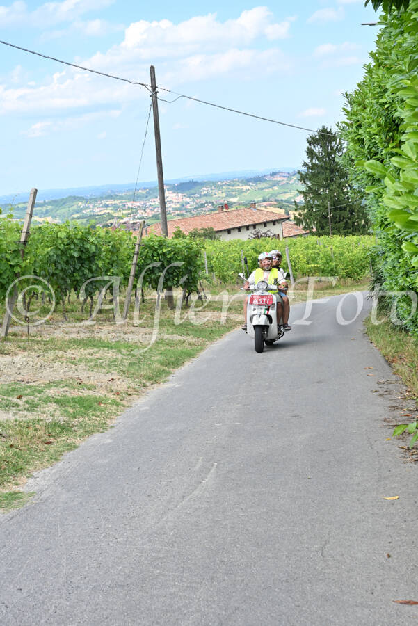 dsc_7464-standard-8l6ebq.jpg