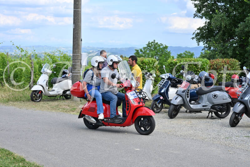 dsc_7469-standard-1kg06h.jpg