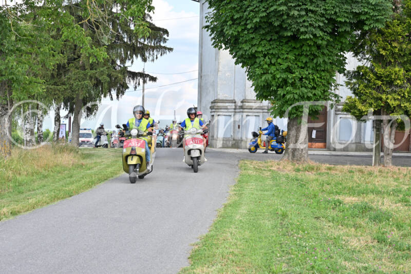 dsc_7551-standard-02q0er.jpg