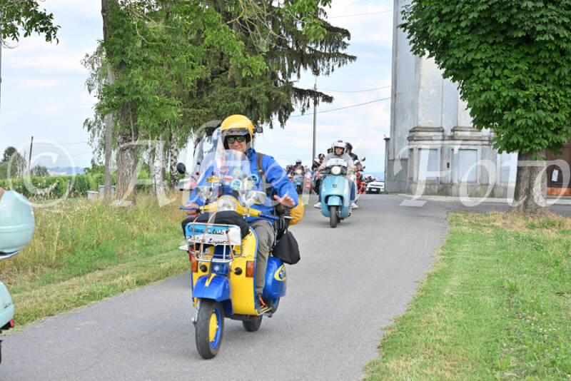 dsc_7592-standard-dcmgmg.jpg