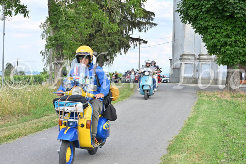 dsc_7593-standard-0onqlh.jpg