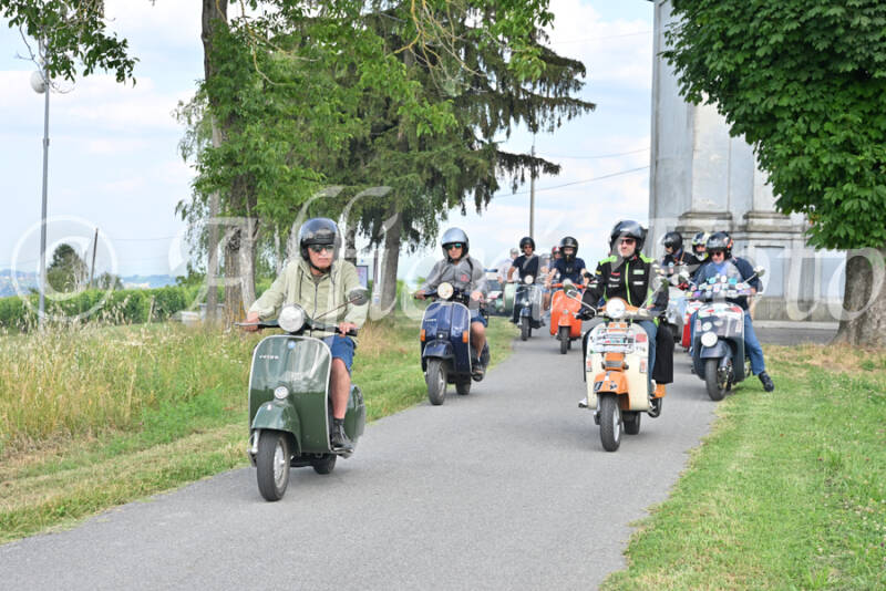 dsc_7649-standard-zfj1nn.jpg