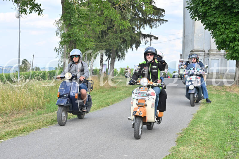 dsc_7653-standard-ufmcwt.jpg