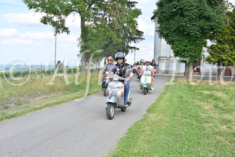 dsc_7670-standard-hsrqh3.jpg