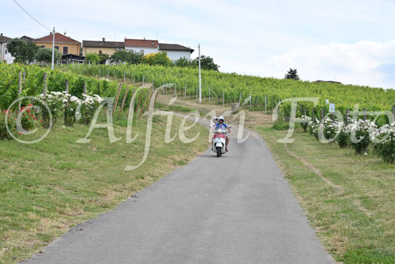 dsc_7734-standard-ohjtlq.jpg