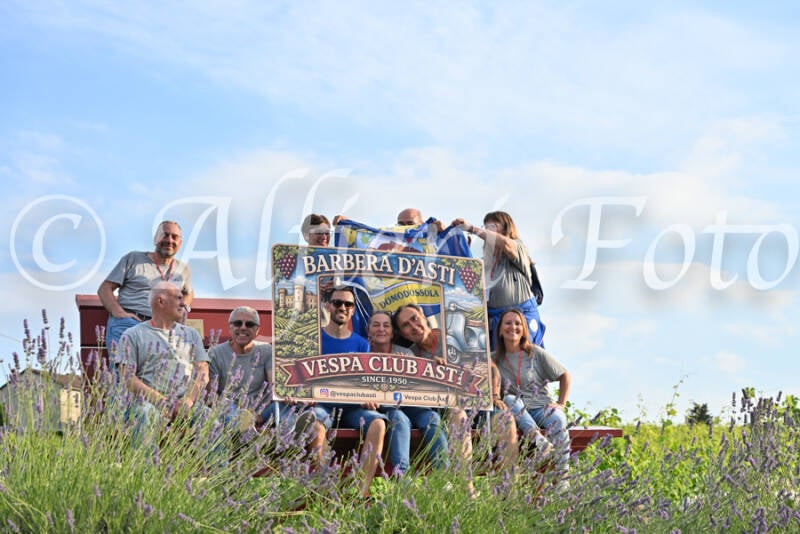 dsc_7803-standard-5b2kvk.jpg