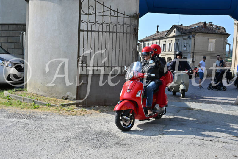 dsc_7858-standard-gbs1zq.jpg