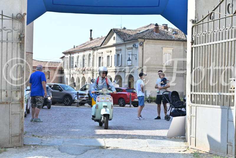 dsc_7867-standard-rzbuj0.jpg