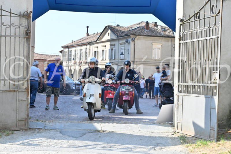 dsc_7876-standard-p3lg6p.jpg