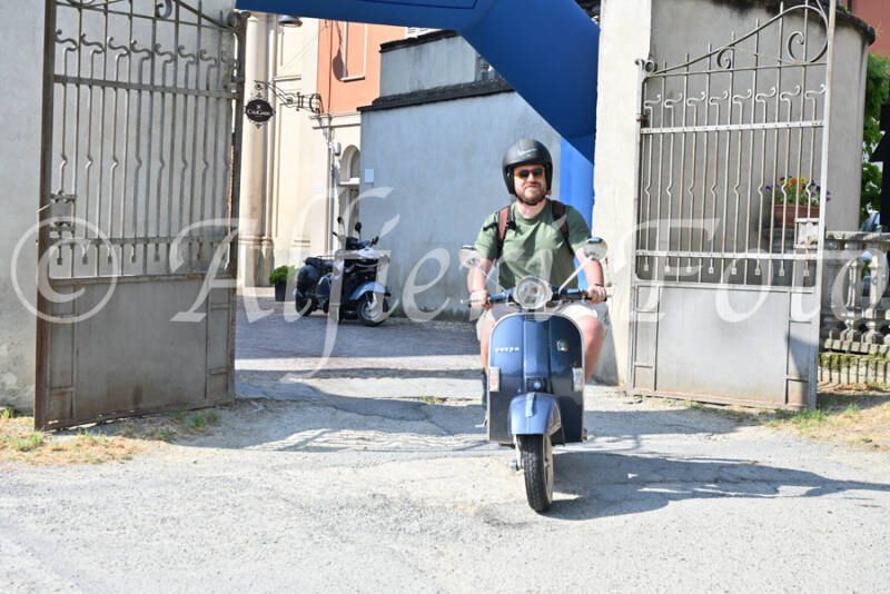 dsc_7921-standard-zxa7qr.jpg