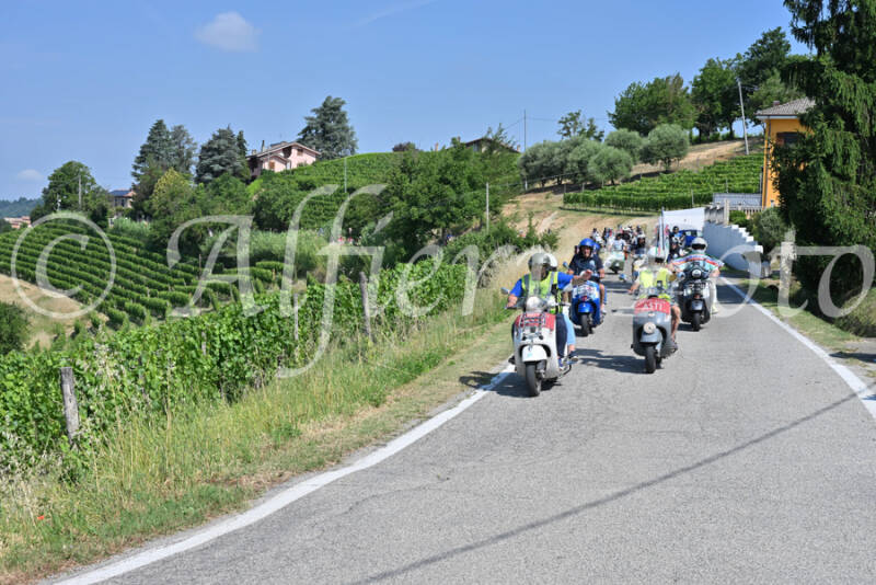 dsc_8026-standard-3nszec.jpg