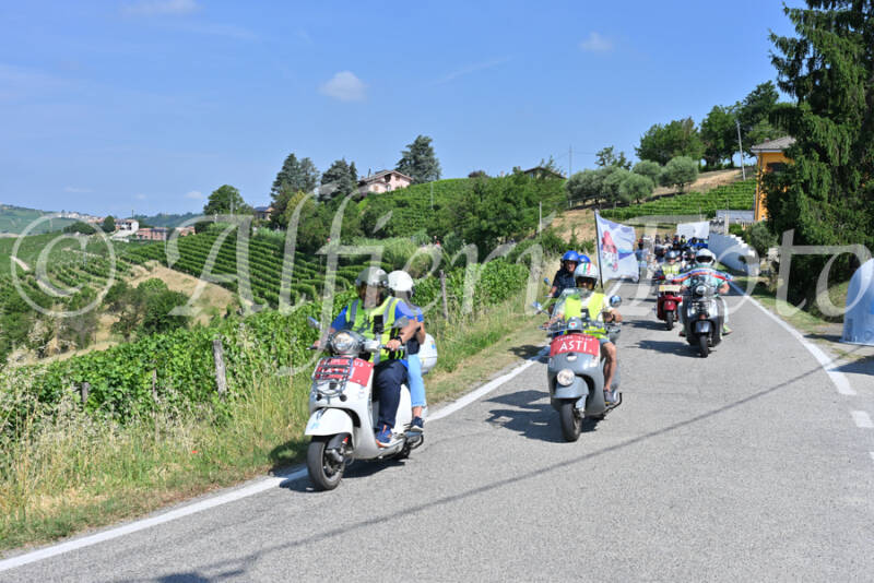 dsc_8030-standard-pcsmtj.jpg