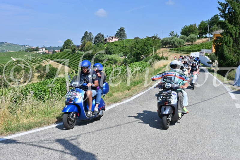 dsc_8033-standard-v8c78d.jpg