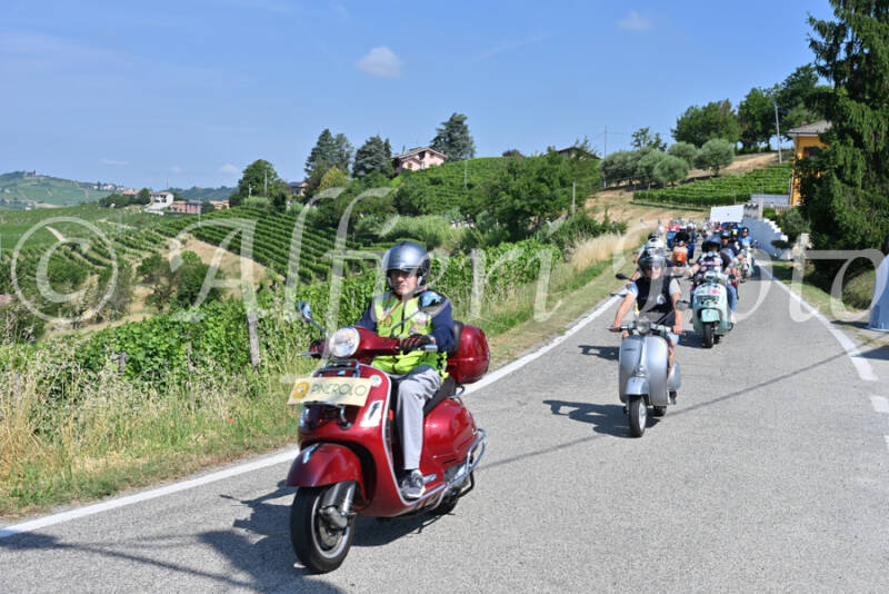 dsc_8037-standard-fdzr26.jpg