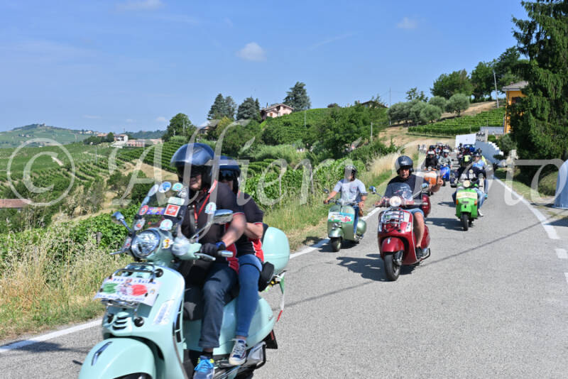 dsc_8045-standard-nnu8je.jpg