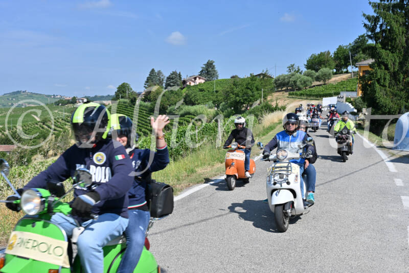 dsc_8051-standard-2mvwos.jpg