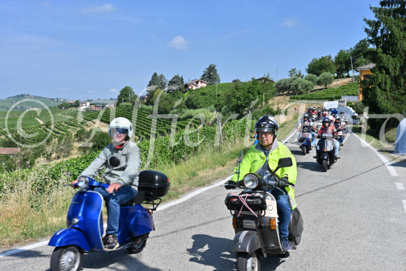 dsc_8056-standard-0voe4c.jpg