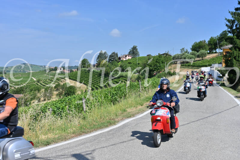 dsc_8080-standard-blklpl.jpg