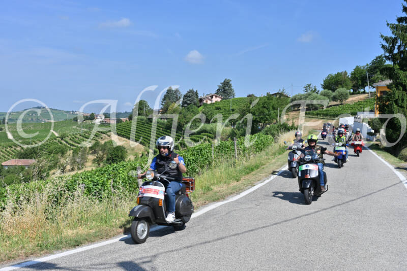 dsc_8083-standard-hmging.jpg